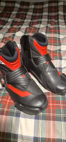 Ducati shorts racing motorbike - racing,